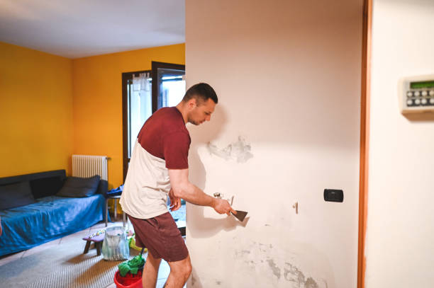 Best HVAC Mold Remediation in East Niles, CA